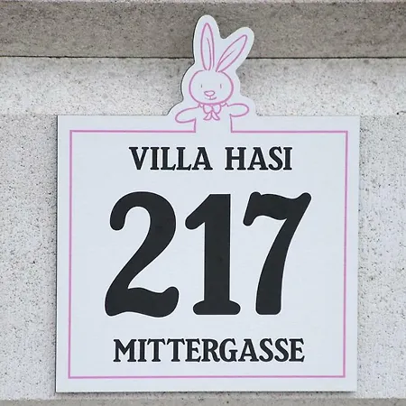 Hasi Holiday home *